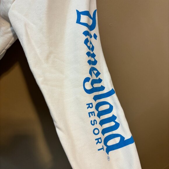 Disneyland Size Large Hannukah Hoodie - Picture 3 of 5